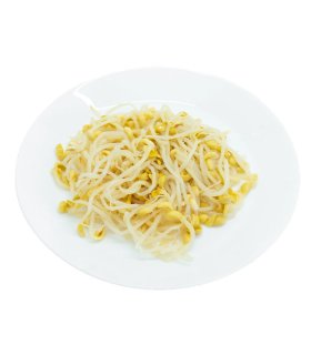 fresh soybean sprout packed in light brine