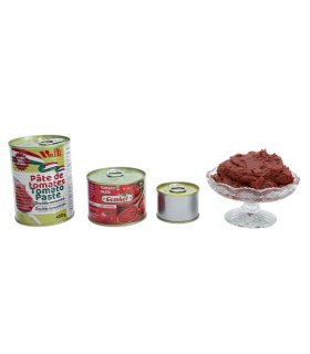 tomato paste 850g tin close up