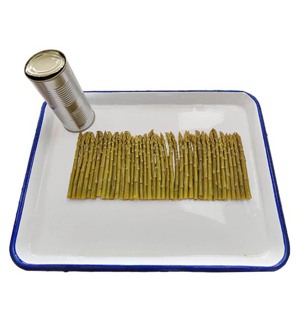 canned asparagus spears ready to serve