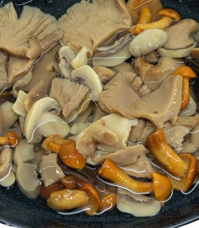 canned mushrooms in light brine solution