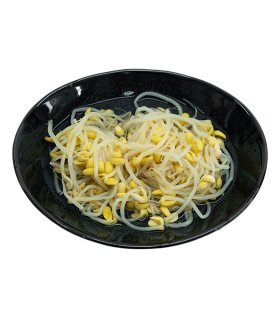 soybean sprout in brine close up view