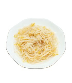 mungbean sprouts ready for export