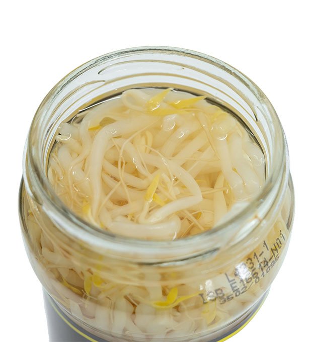 mungbean sprouts in brine glass jar