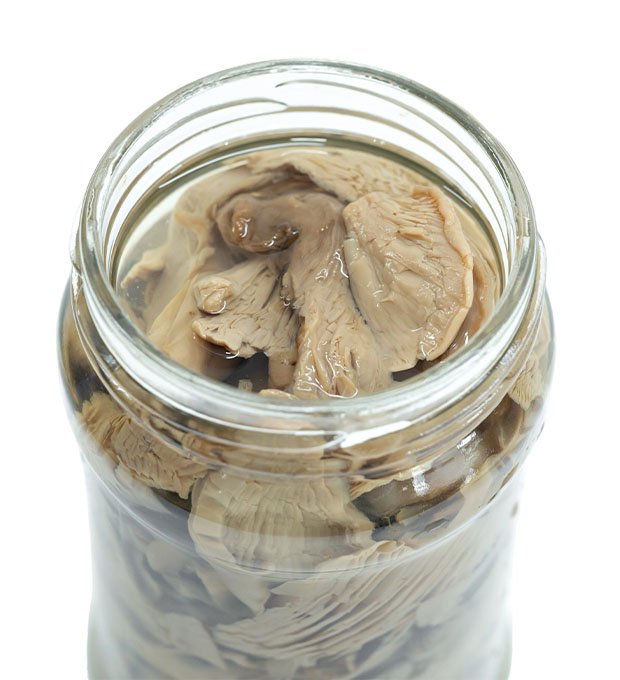 bulk canned mushrooms for wholesalers