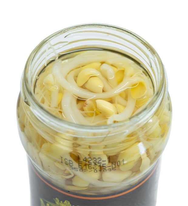 fresh soybean sprouts canned in jars