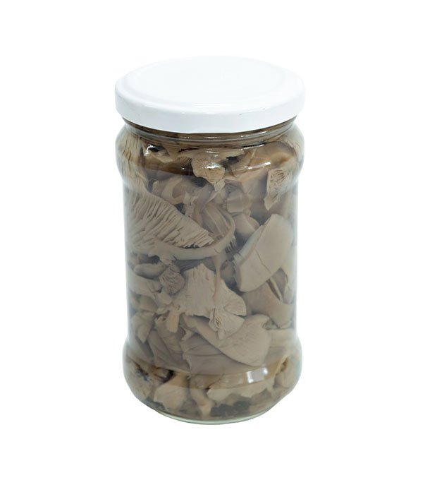 canned mushrooms for export