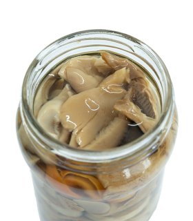 canned mushrooms 400g tin