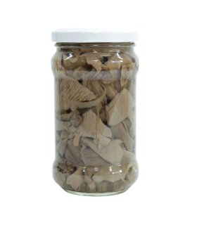 Canned grey oyster mushroom in brine