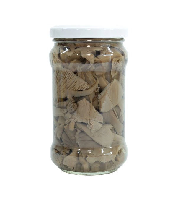 Canned grey oyster mushroom in brine