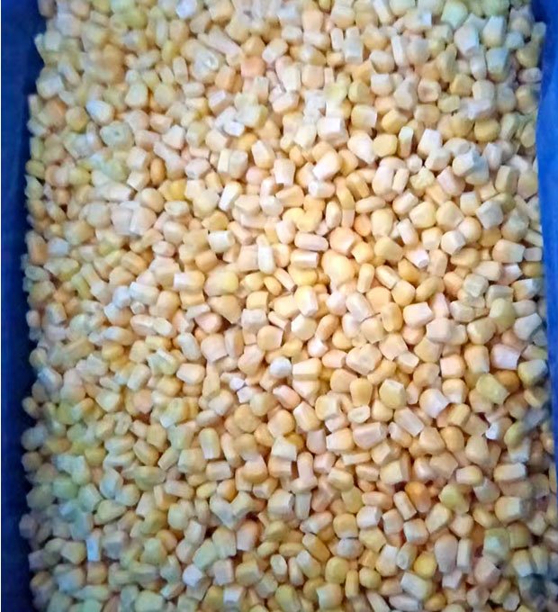 Frozen corn