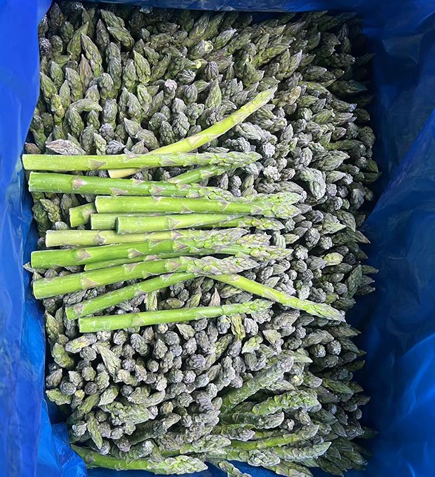 frozen green asparagus spears