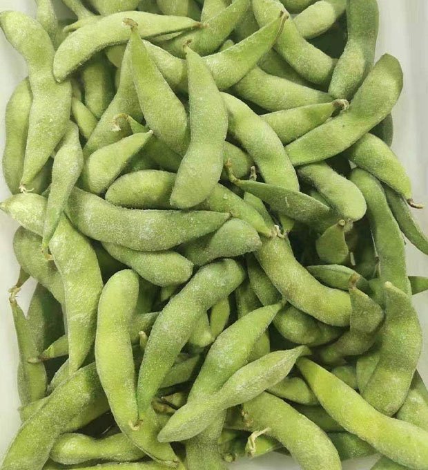 freshly harvested frozen edamame pods in iqf process