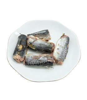 Canned sardine fish in brine