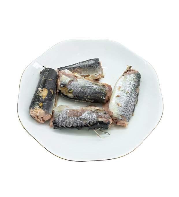 Canned sardine fish in brine