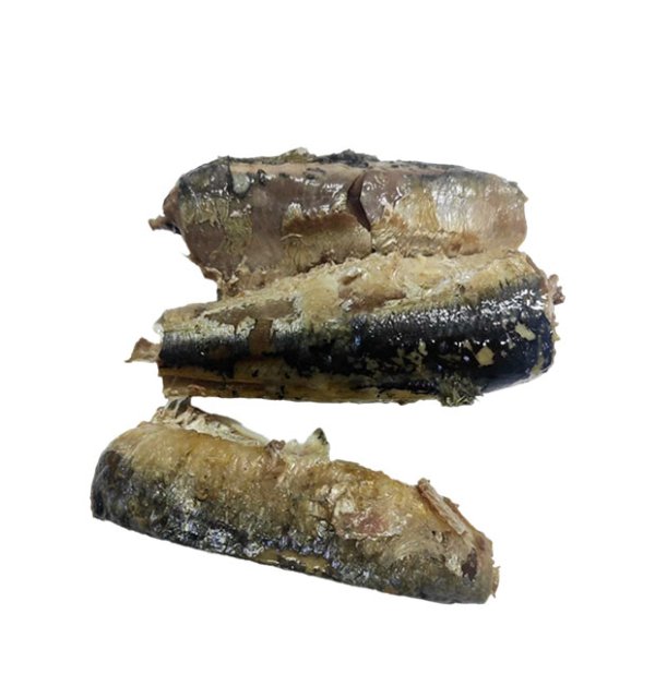 油浸沙丁鱼罐头