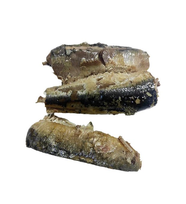 Canned sardine in oil