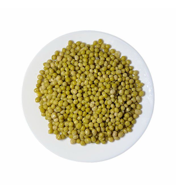 light brine canned green peas export quality
