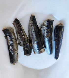 ready-to-eat sardine for catering