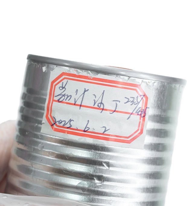 sardine fillets in tomato paste tin