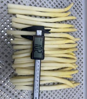 fine dining frozen asparagus