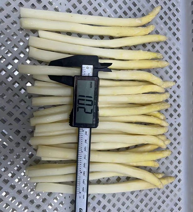 fine dining frozen asparagus