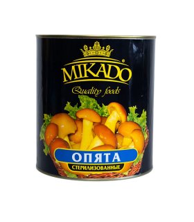 Canned nameko mushroom in brine