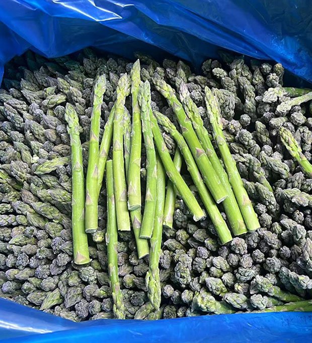 Frozen green asparagus