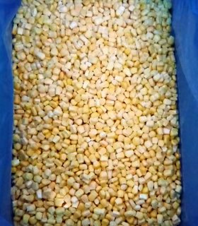 iqf frozen corn kernels with bright golden color