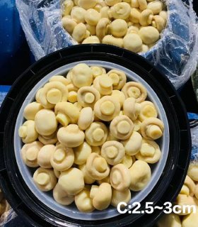 salted mushrooms for industrial use