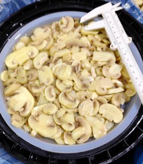Preserved mushroom  pieces & stems in drum