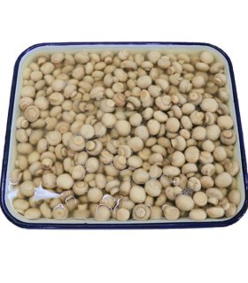 mini champignon mushrooms in brine