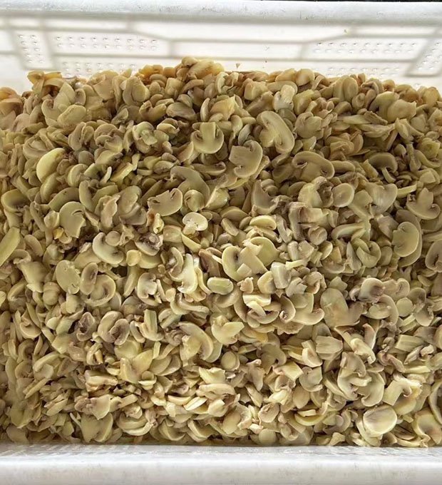 industrial preserved mushroom drums on pallet