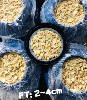 Brined mushroom  pieces & stems in drum