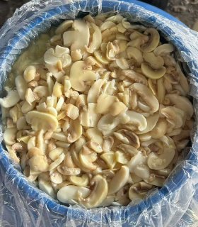 mushroom stems and caps mix