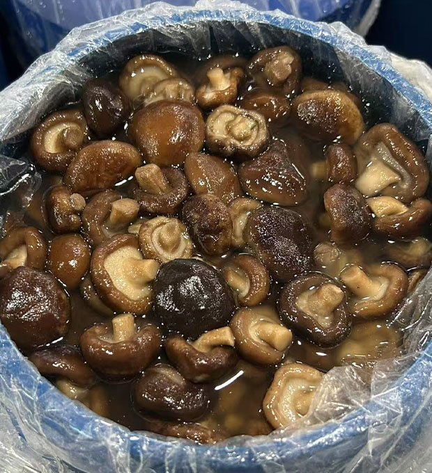 preserved whole shiitake with firm caps