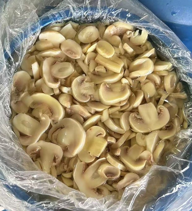 Preserved mushroom  slices in drum