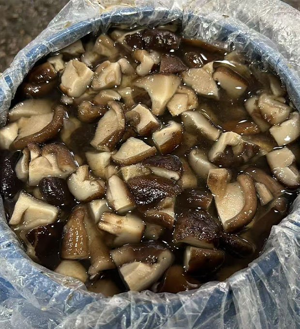 Brined shiitake slices  in drum