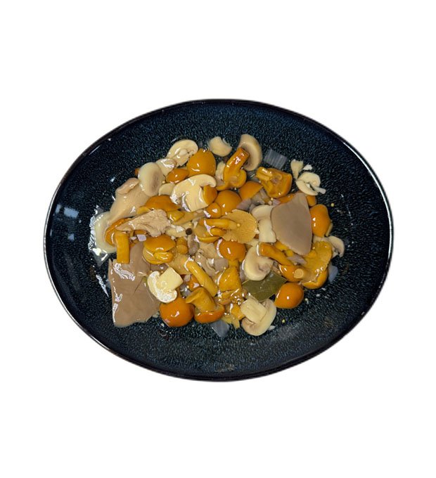 nameko champignon oyster mushroom mix