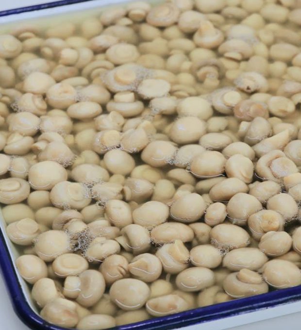 small whole mushrooms for pizza topping