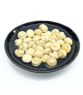 bulk canned champignon mushrooms for export