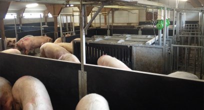 法国生猪养殖的环境政策