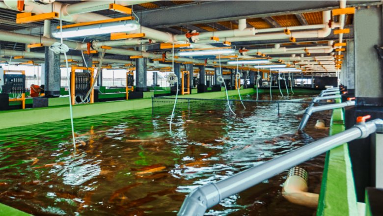 智测云联水质监测系统助力水产养殖提升效益