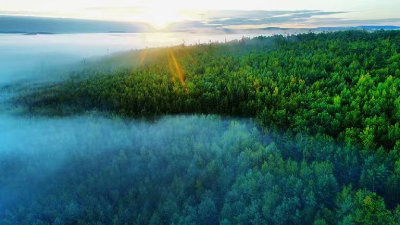 智测云联森林防火气象站筑牢火险防控第一道防线